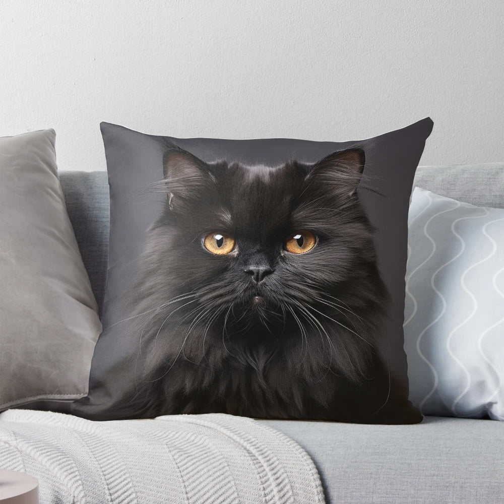 Cozy black persian cat throw pillow for home decor