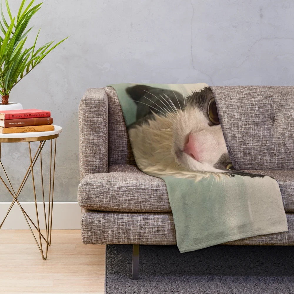 Soft and cozy plush blanket featuring a wet, soggy cat design