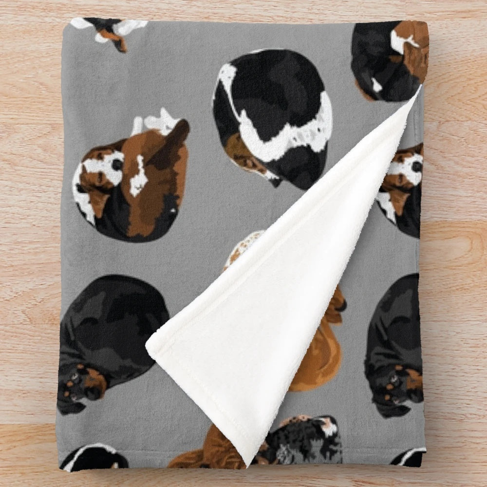 Coonhound curl plush blanket for dogs