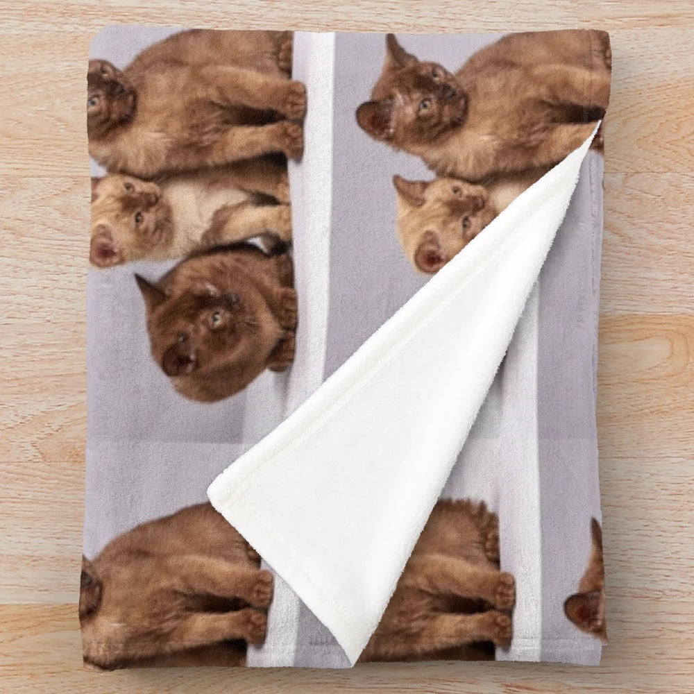 Soft and cozy cats plush blanket