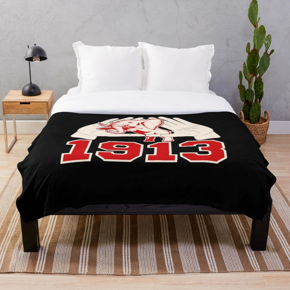 Delta Sigma Theta inspired plush blanket