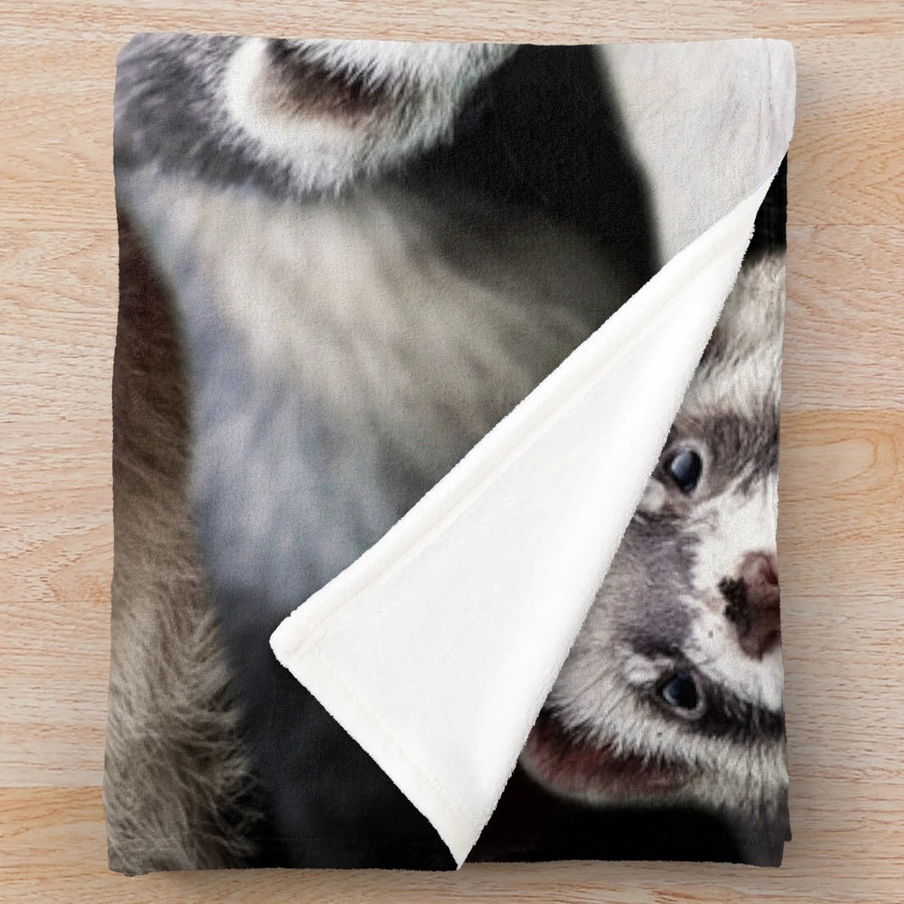Soft and fluffy ferret-themed plush blanket