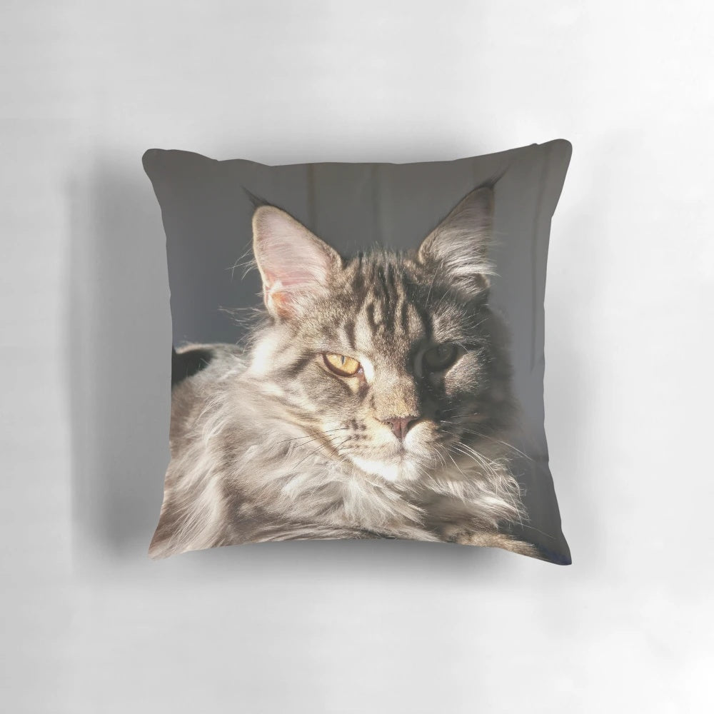 Plush maine coon cat pillow, perfect for cat lovers and pet owners