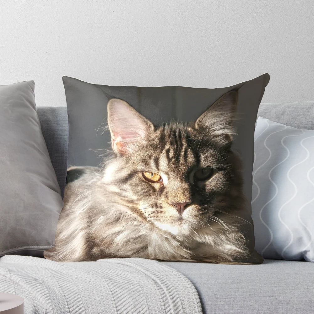 Plush maine coon cat pillow, perfect for cat lovers and pet owners