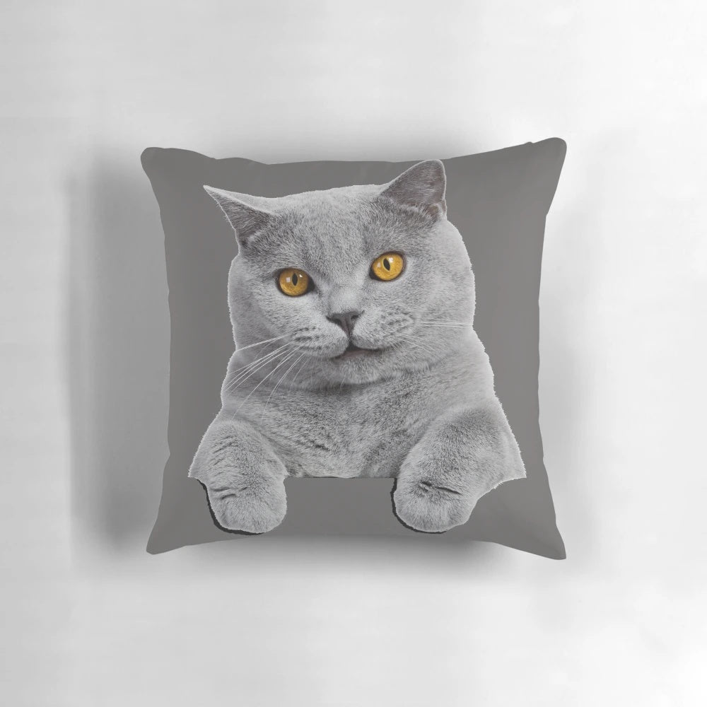 Plush British Shorthair cat pillow in a soft blue shade for comfortable home decor