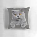 Plush British Shorthair cat pillow in a soft blue shade for comfortable home decor