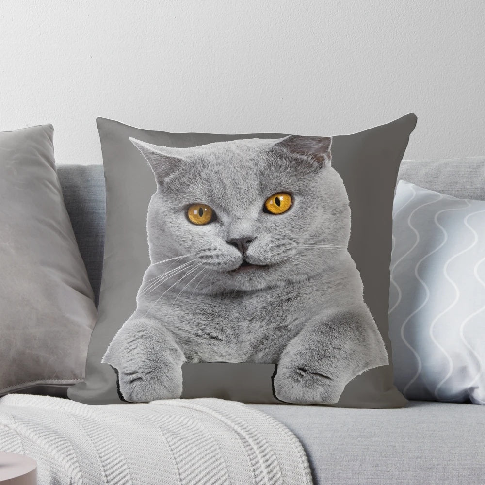 Plush British Shorthair cat pillow in a soft blue shade for comfortable home decor
