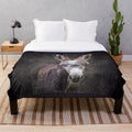 Soft gray plush blanket featuring a donkey foal