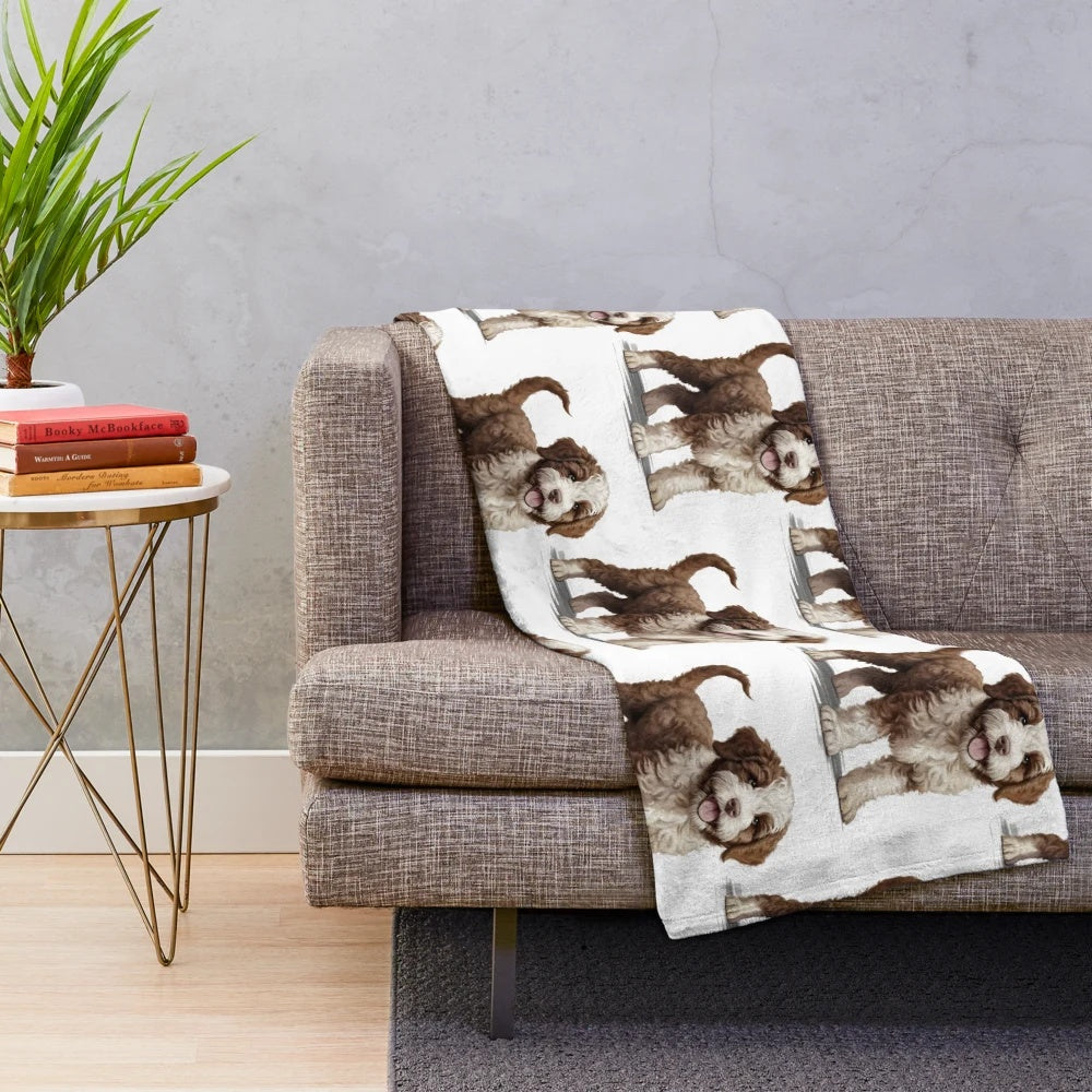 Lagotto Romagnolo dog on a soft plush blanket