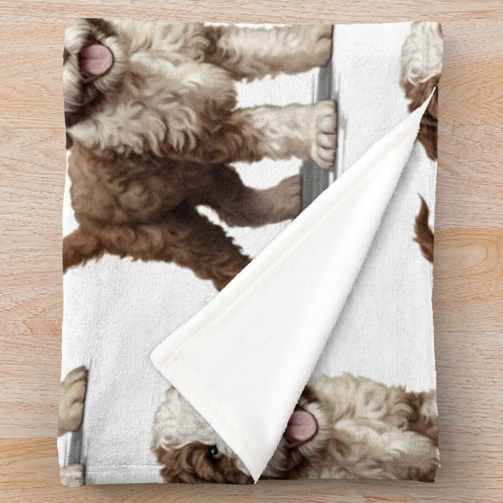 Lagotto Romagnolo dog on a soft plush blanket