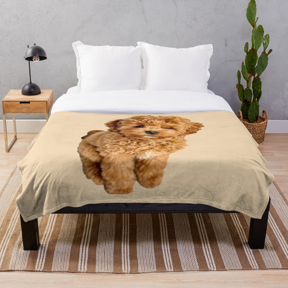 Soft and plush cavapoo-themed blanket