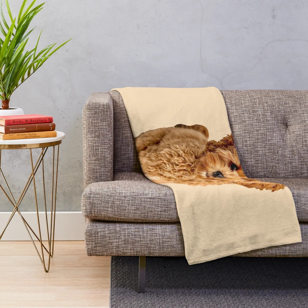 Soft and plush cavapoo-themed blanket
