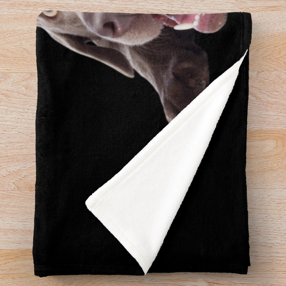 Silver Labrador Retriever Puppy Plush Blanket