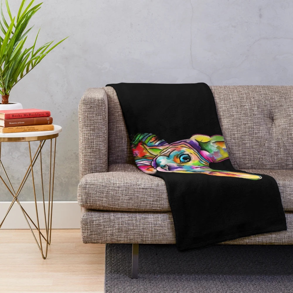 Sphynx cat plush blanket with unique color patterns