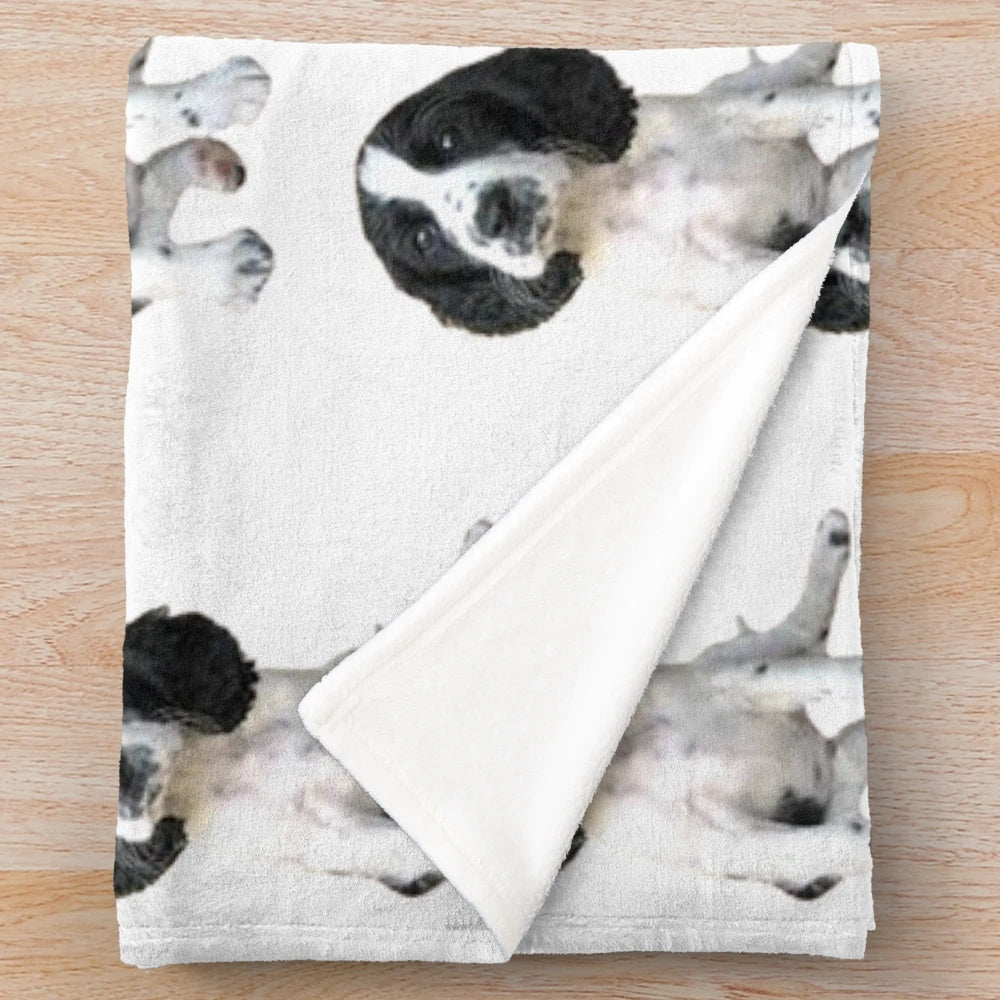 Sprocker Spaniel Plush Blanket