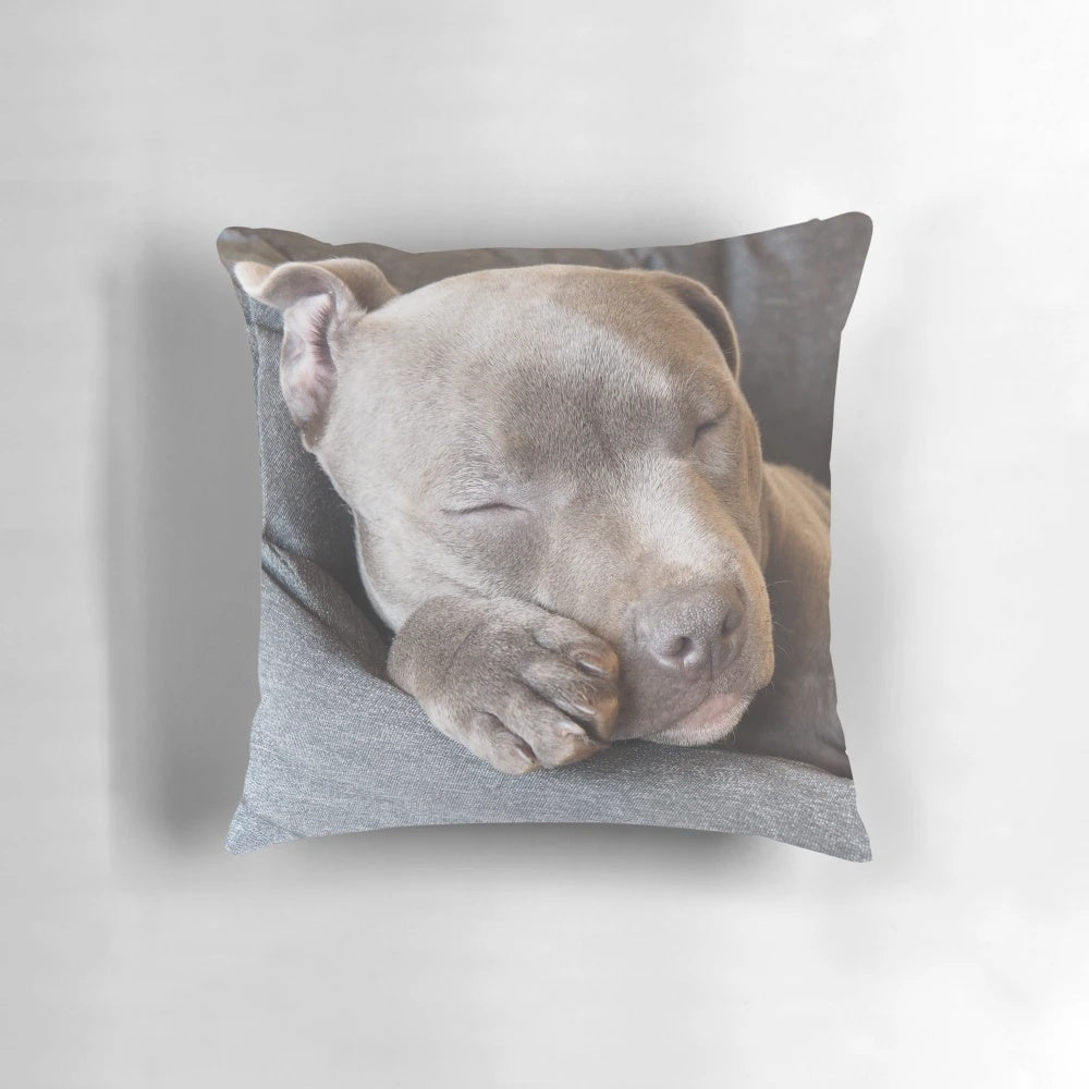 A blue Staffordshire Terrier puppy sleeping peacefully on a pillow, showcasing the adorable and heart-melting design by Vinciedesign.