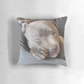 A blue Staffordshire Terrier puppy sleeping peacefully on a pillow, showcasing the adorable and heart-melting design by Vinciedesign.