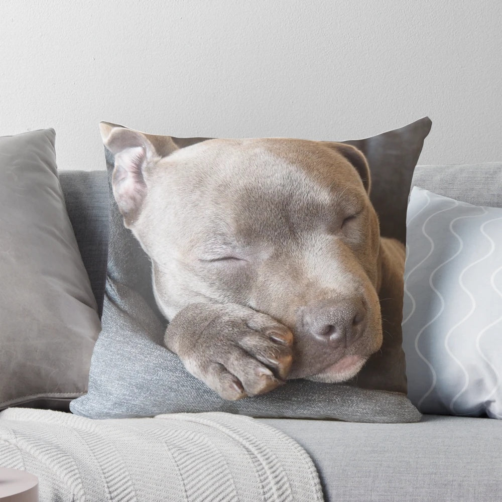 A blue Staffordshire Terrier puppy sleeping peacefully on a pillow, showcasing the adorable and heart-melting design by Vinciedesign.