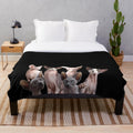 Sphynx cat plush blanket with modern abstract art pattern