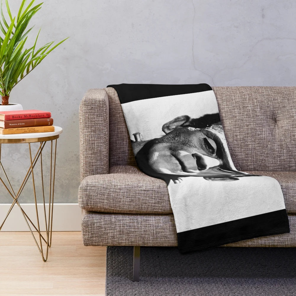 Classic Frankenstein monster plush blanket for horror, sci-fi, and gothic home decor