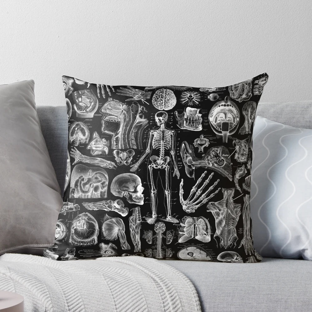 Black and white graphic print of human anatomy skeleton on a square pillow