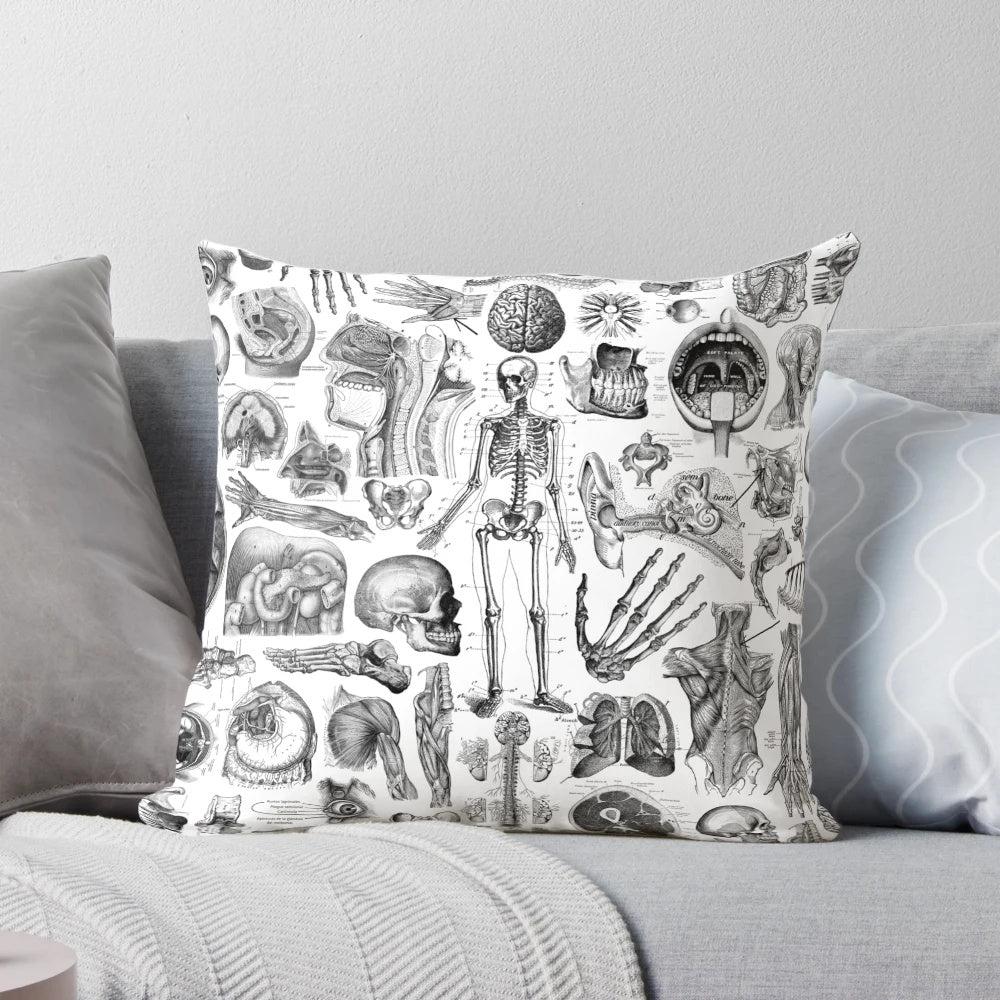 White print of human anatomy and skeleton on a soft, comfortable pillow.