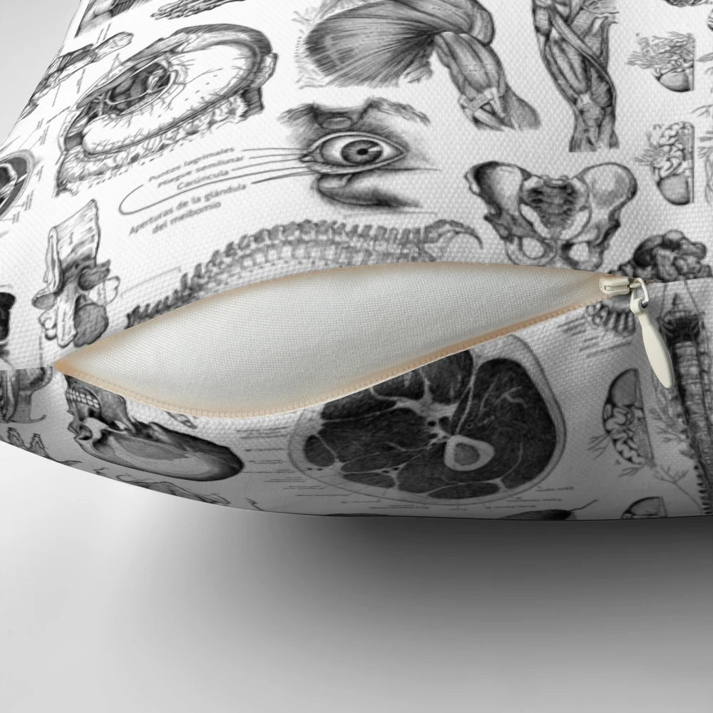 White print of human anatomy and skeleton on a soft, comfortable pillow.