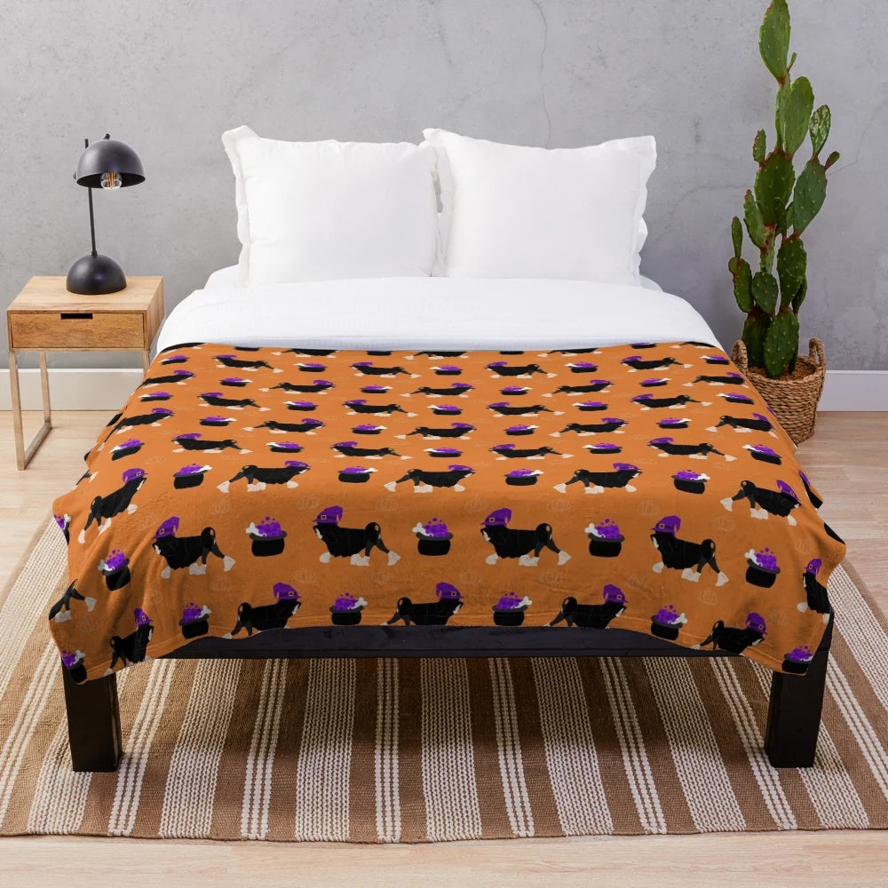 Spooky lowchen dog on a black and silver plush blanket