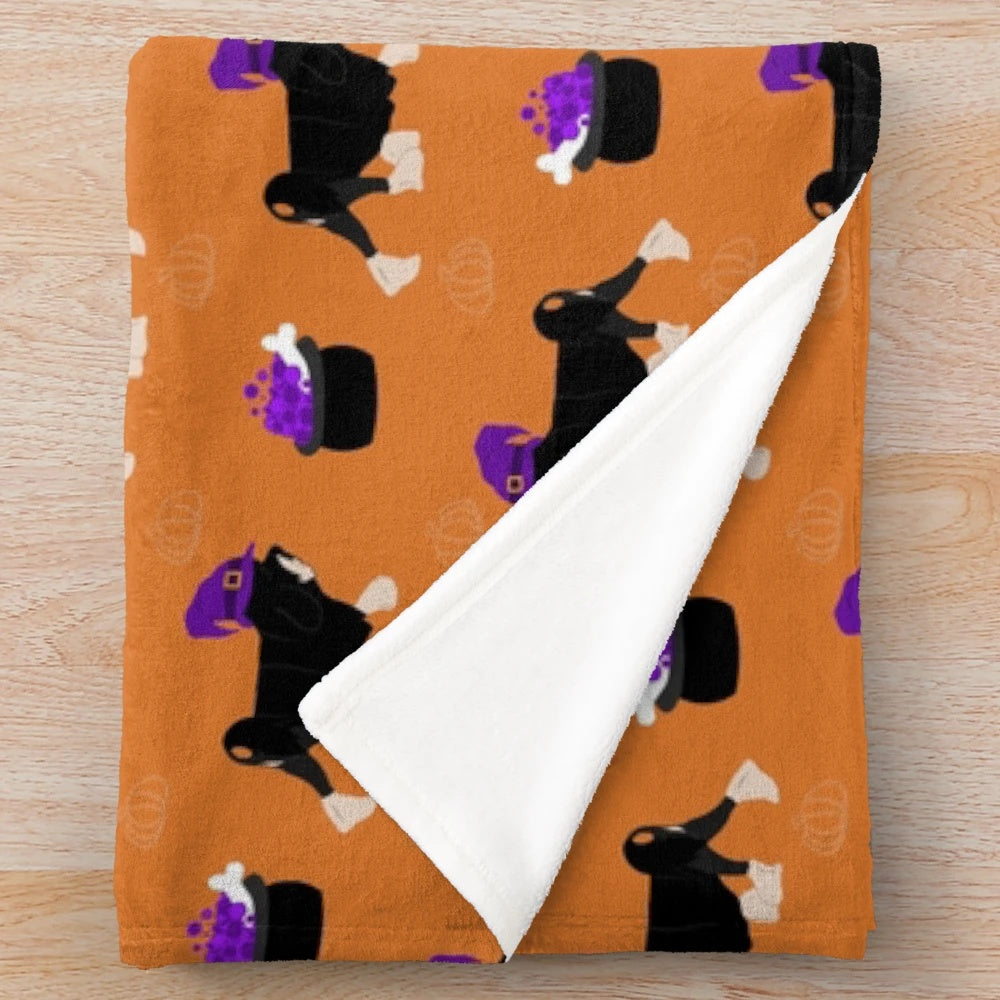 Spooky lowchen dog on a black and silver plush blanket