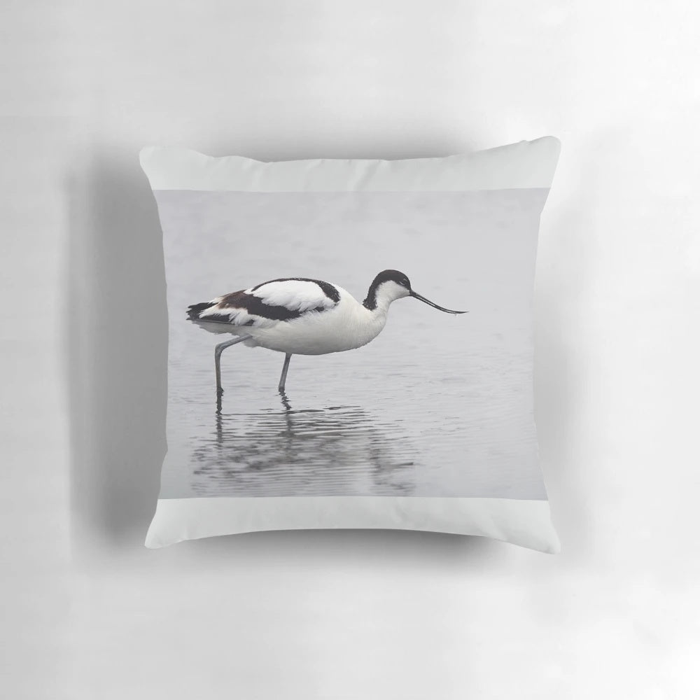 A beautiful avocet bird standing in the calm waters of the Norfolk Broads, its black and white summer plumage reflected in the still surface.