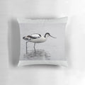 A beautiful avocet bird standing in the calm waters of the Norfolk Broads, its black and white summer plumage reflected in the still surface.
