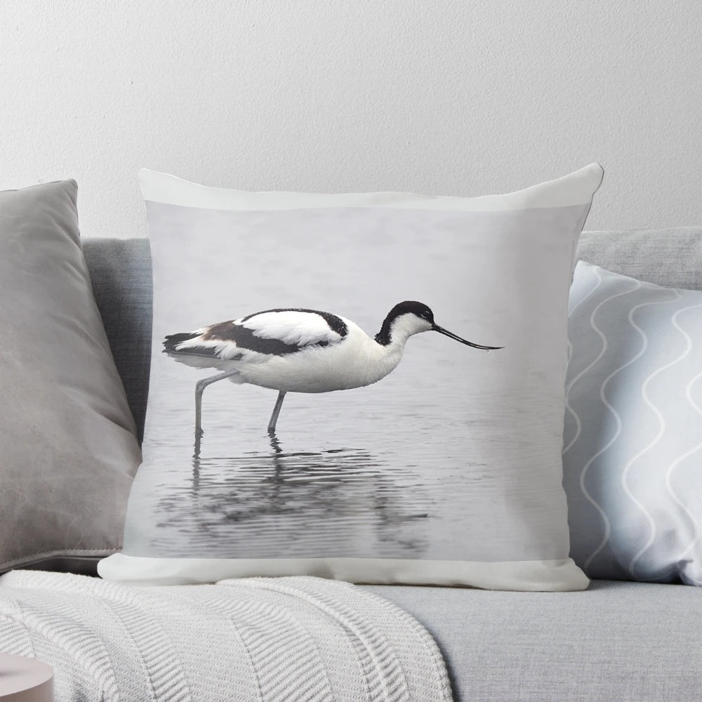 A beautiful avocet bird standing in the calm waters of the Norfolk Broads, its black and white summer plumage reflected in the still surface.