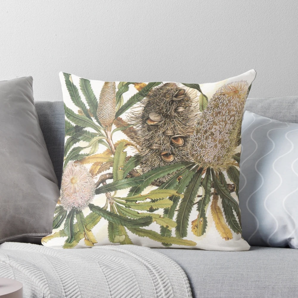 Decorative pillow featuring an illustration of the Banksia serrata, a native Australian wildflower.