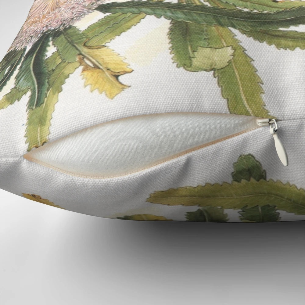Decorative pillow featuring an illustration of the Banksia serrata, a native Australian wildflower.