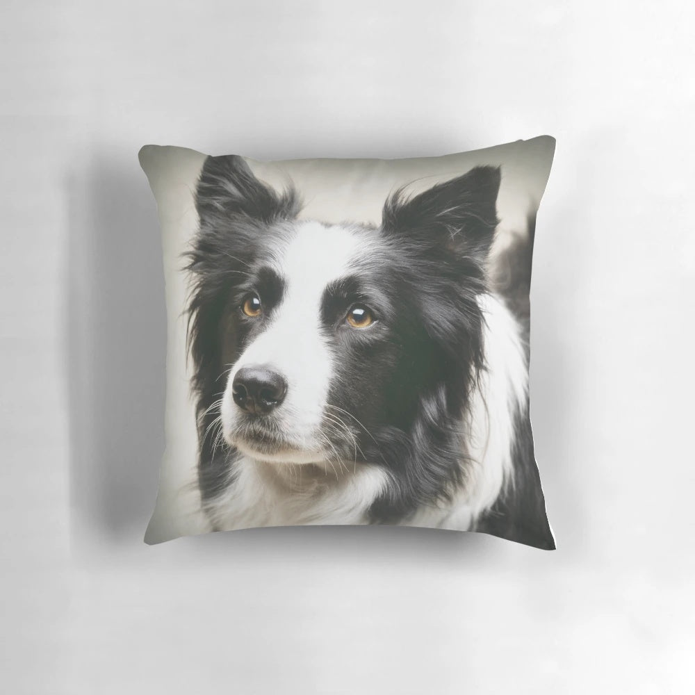 A black and white photograph of a border collie working dog on a decorative pillow.