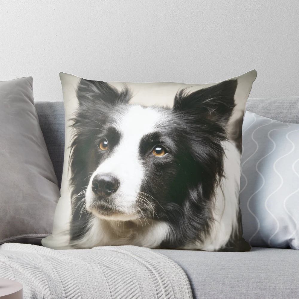 A black and white photograph of a border collie working dog on a decorative pillow.