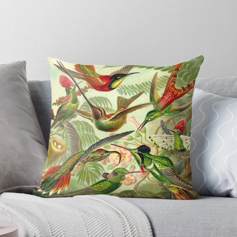 Colorful decorative pillow featuring an illustration of a colibri hummingbird inspired by the artwork of Ernst Haeckel