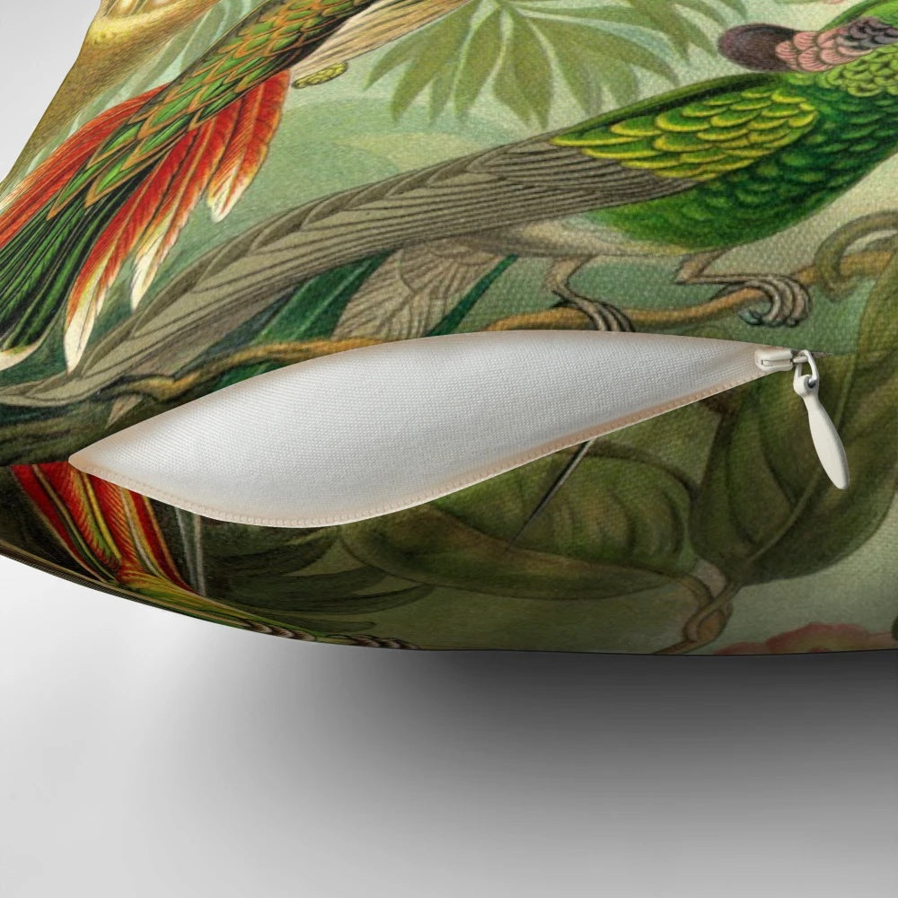 Colorful decorative pillow featuring an illustration of a colibri hummingbird inspired by the artwork of Ernst Haeckel