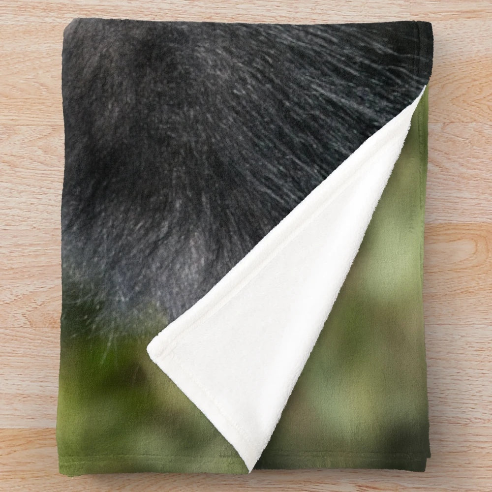 Silverback gorilla portrait printed on a soft, cozy plush blanket