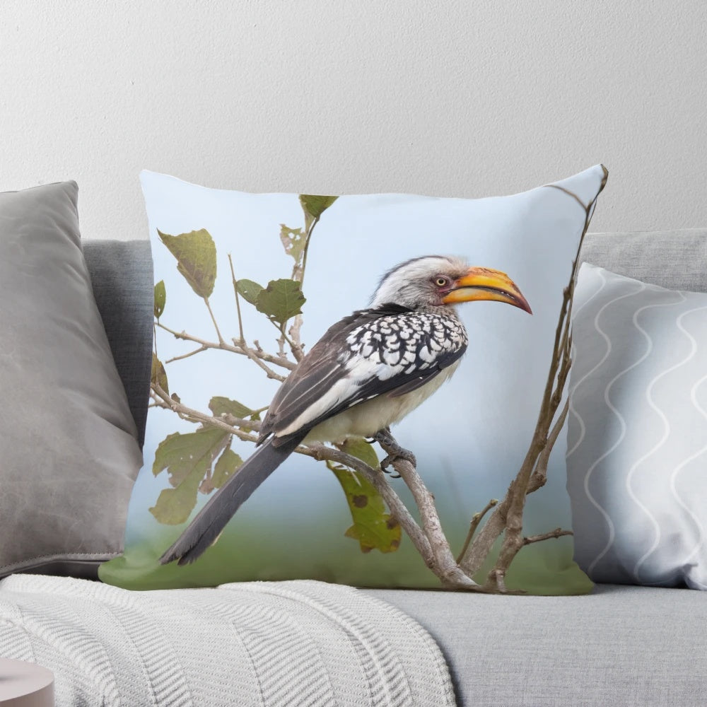 Vibrant image of a southern yellow-billed hornbill, a majestic bird native to southern Africa.