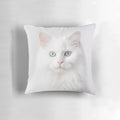 Soft, fluffy white Persian cat with vibrant green eyes on a decorative pillow