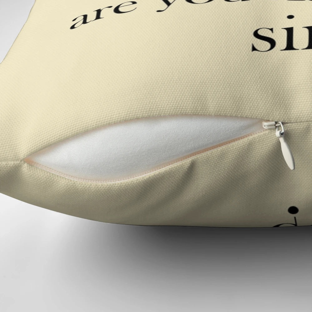 An illustration of a black cat wearing an Alexander Hamilton-inspired outfit on a pillow.