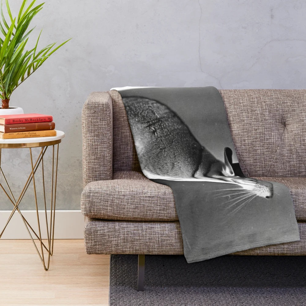 A colorful and stylish chinchilla portrait plush blanket with a playful, pop art inspired design.