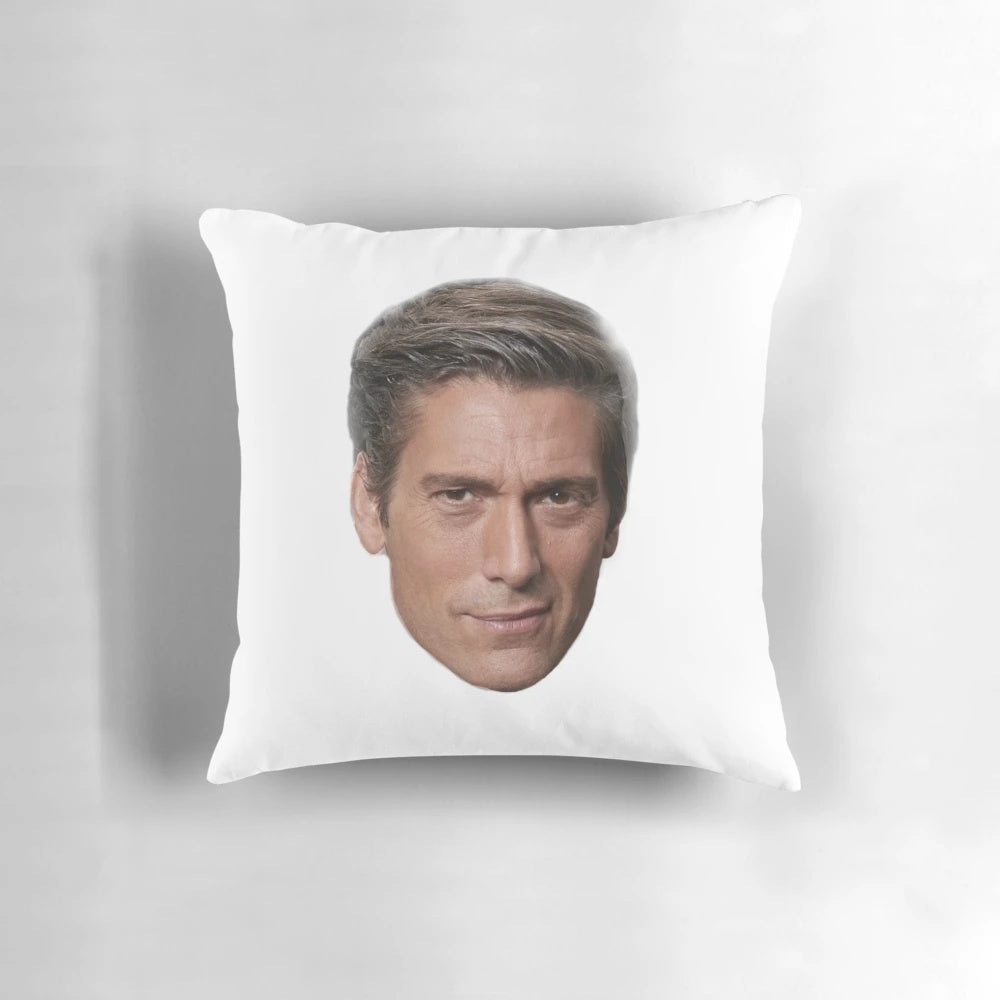 Soft, high-quality pillow featuring a design inspired by ABC News anchor David Muirhead