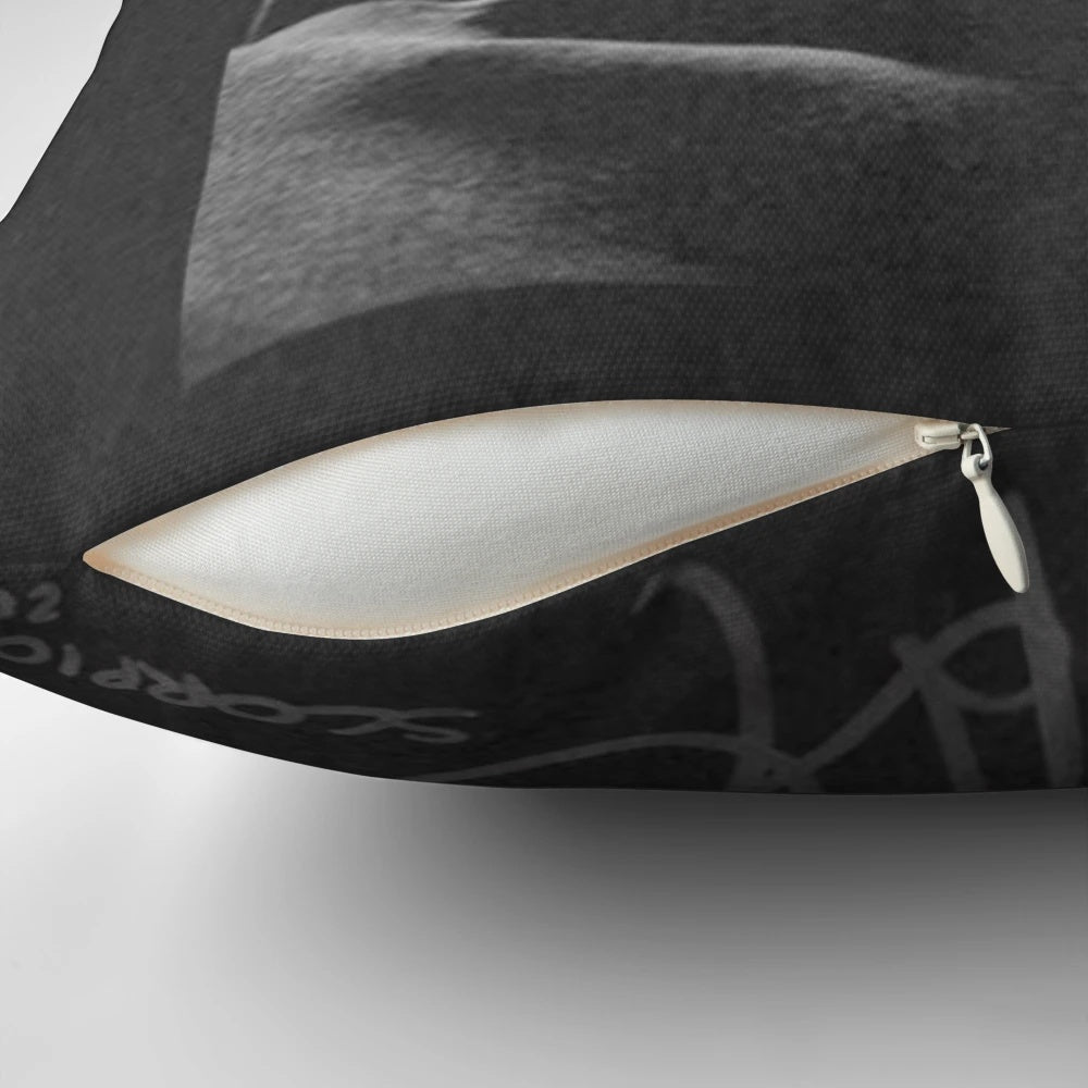 Cozy and fashionable drake-themed pillow with scorpion design