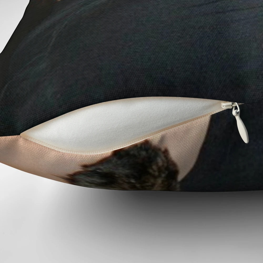 Drew Starkey-inspired black and white pillow design