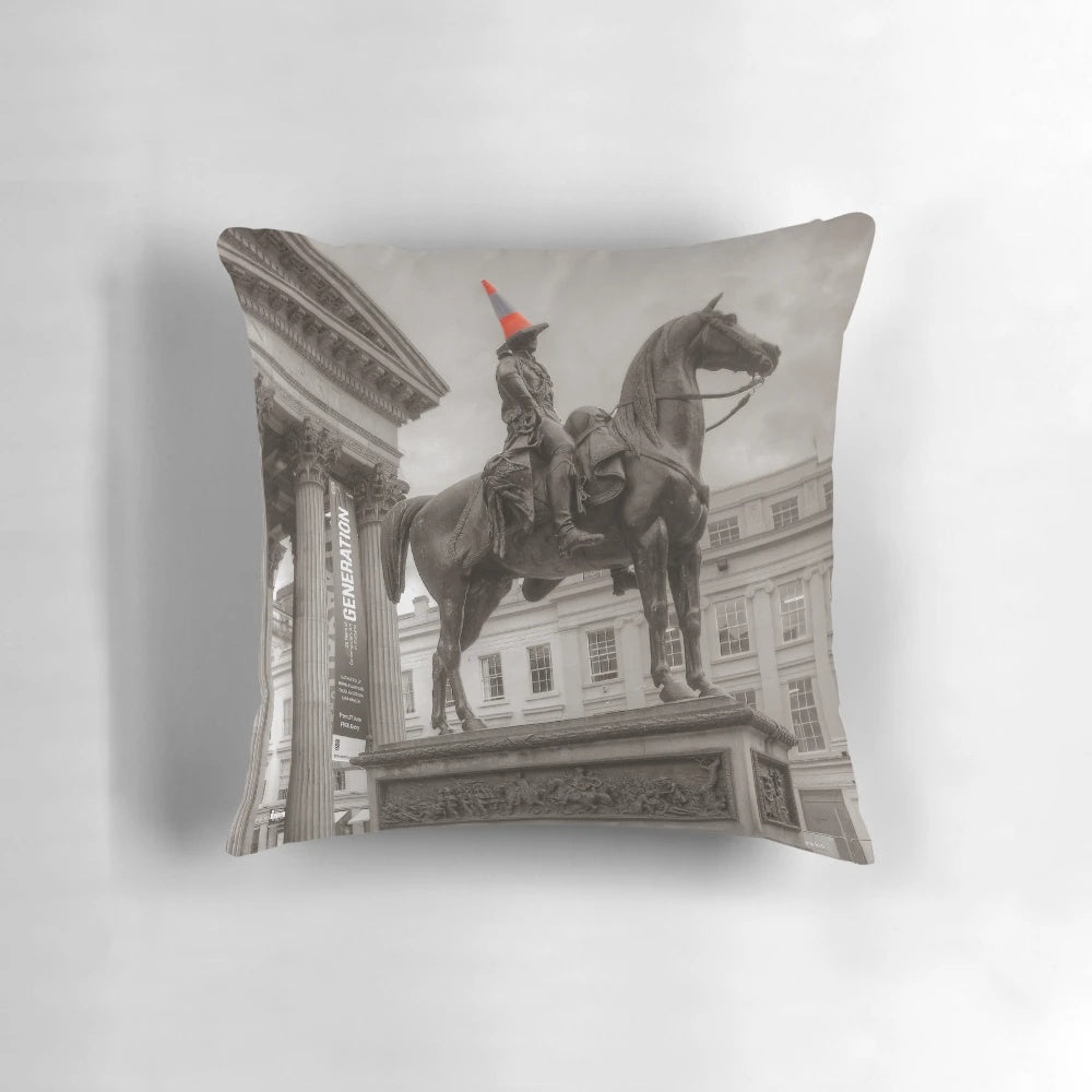 Duke of Wellington Pillow with Selective Black, White, and Orange Color Scheme