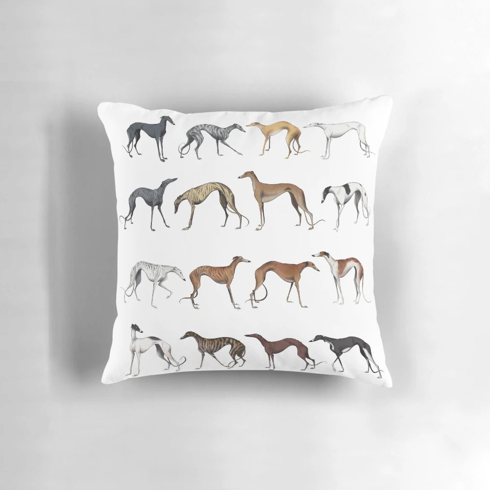 Colorful decorative pillow featuring the textured coat of a galgo, a Spanish hunting dog breed.