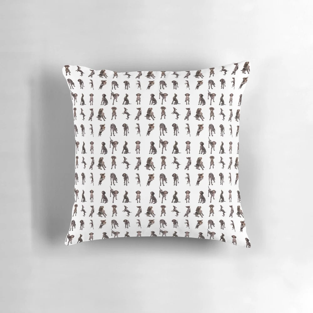 A collage of images featuring a German Shorthaired Pointer dog on a decorative pillow.