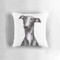Beautiful black greyhound looking soulful on a decorative throw pillow